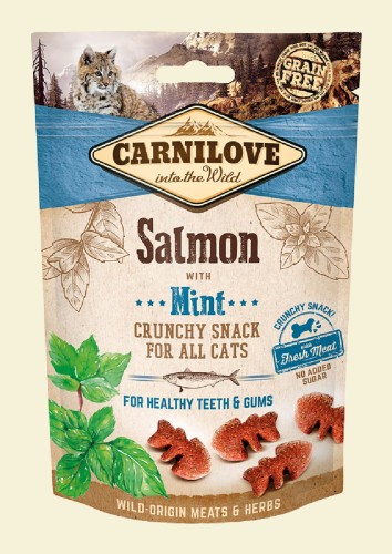 CARNILOVE z łososiem dla kota  50g
