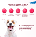 BAYER Advantix - dla psów od 25kg do 40kg (4 pipeta x 4,0 ml)  