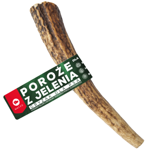 Maced Gryzak z Poroża Jelenia  S