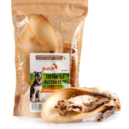 BALTO Zestaw dla dużych psów 5szt 