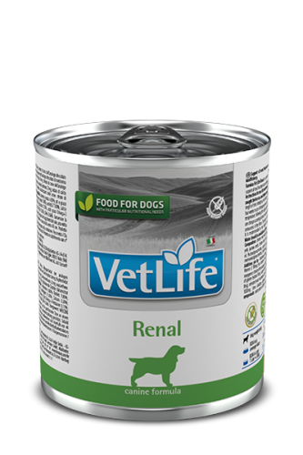 FARMINA VetLife Renal canine 300G