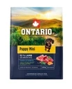 Ontario Puppy Mini Lamb Jagnięcina z Brązowym Ryżem 2,25kg