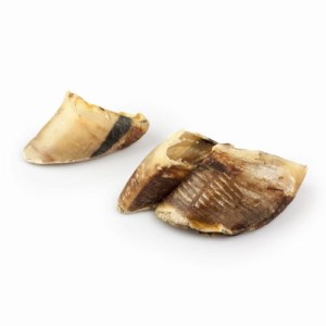 Balto Kopyta wołowe. Opakowanie 200g (2szt)