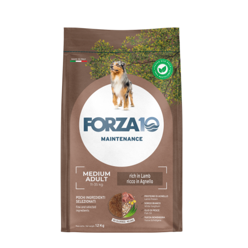 FORZA10 Maintenance Medium Jagnięcina i ryż 12kg