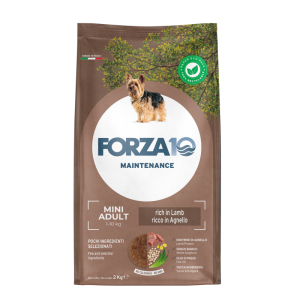 FORZA10 Maintenance Mini Jagnięcina i ryż 2kg
